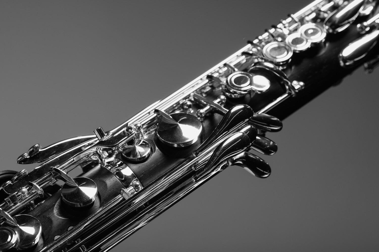 Bass Clarinets